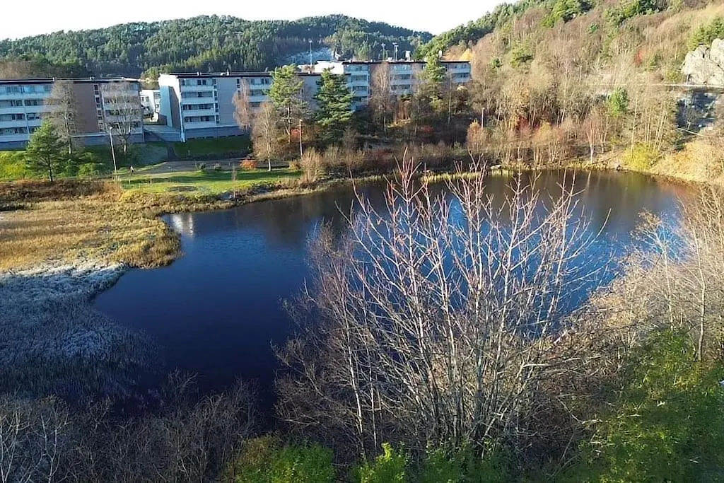 Your Dream Studio In Bergen Apartmán